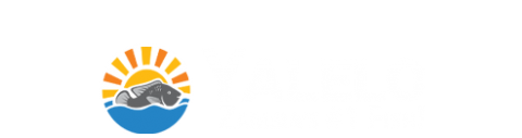 Yalelo Zambia