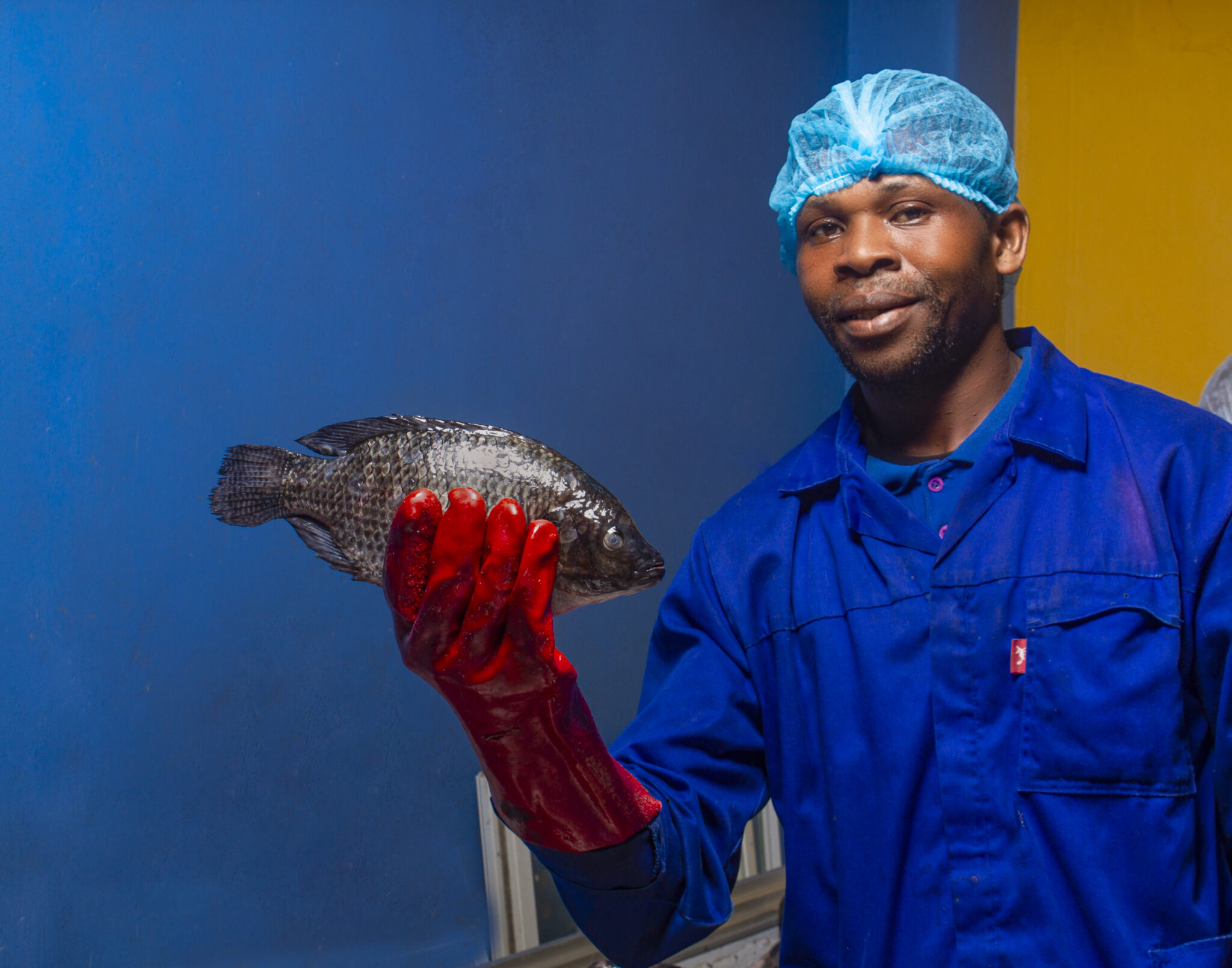 Yalelo About Us Yalelo Zambia